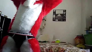 Blinking Masturbating Fox